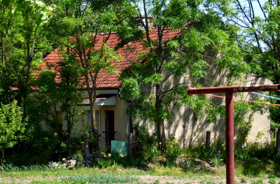 BRZEŹNICA,gm.Srokowo, pow. kętrzyński, AB - 032