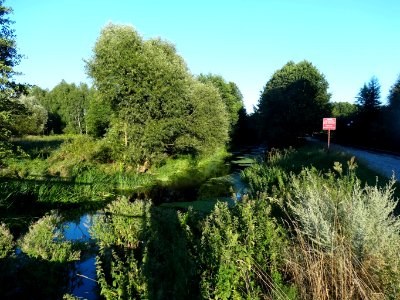 Brzoza Bydgoska Notec 3 08-2014