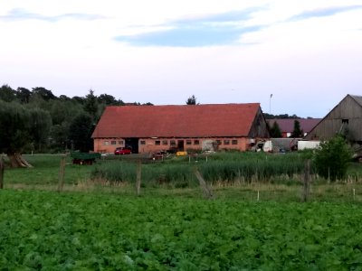 Brzoza Bydgoska 1 08-2014