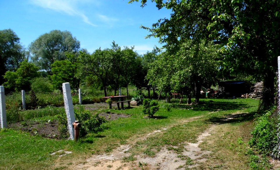 BRZEŹNICA,gm.Srokowo, pow. kętrzyński, AB - 028