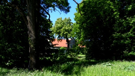 BRZEŹNICA,gm.Srokowo, pow. kętrzyński, AB - 003