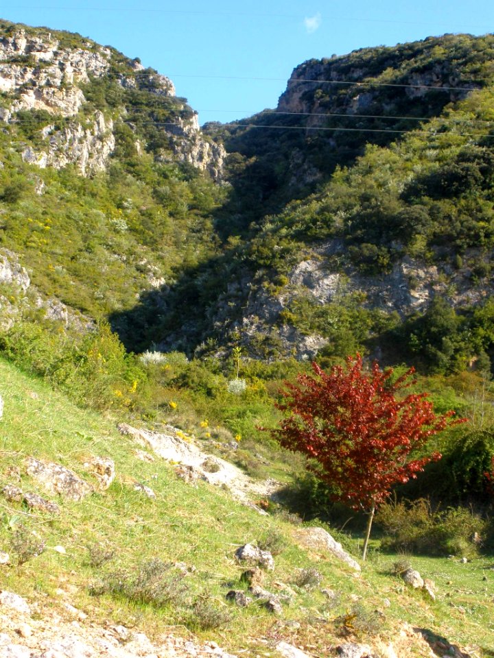 Bugedo - Monasterio de Santa María de Bujedo de Candepajares, entorno natural 26