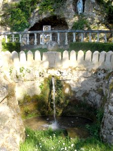 Bugedo - Monasterio de Santa María de Bujedo de Candepajares, entorno natural 17