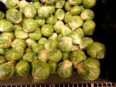 Brussels sprouts in a bin photo