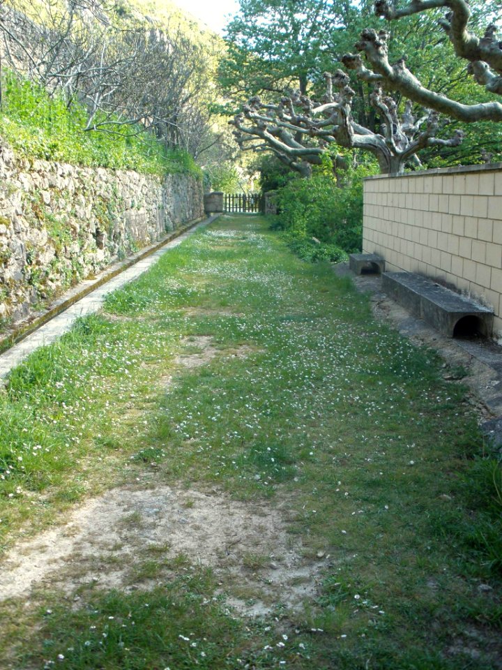 Bugedo - Monasterio de Santa María de Bujedo de Candepajares, entorno natural 13