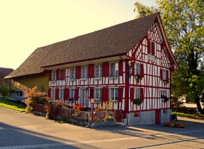 Buchackern1371