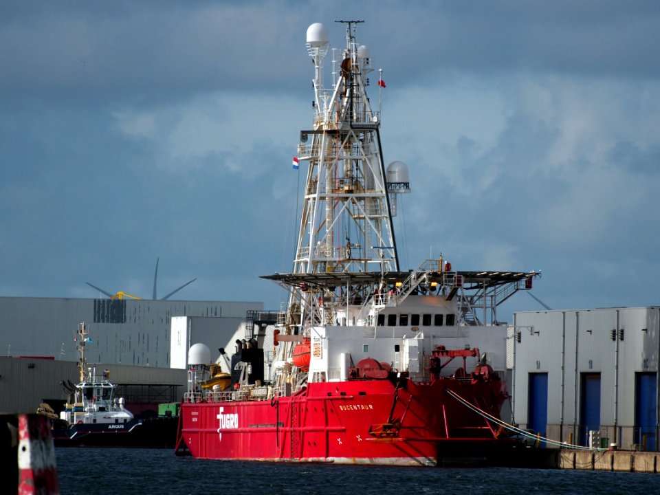 Bucentaur IMO 8112548 at the Suezhaven, Port of Amsterdam