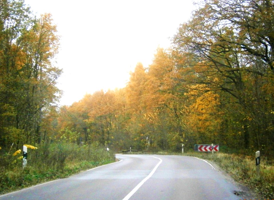 Buch Wiltbergstraße nw2