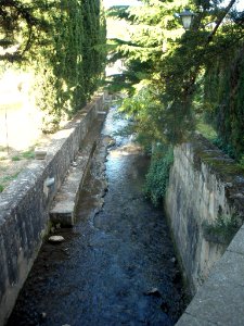Bugedo - Monasterio de Santa María de Bujedo de Candepajares, entorno natural 23