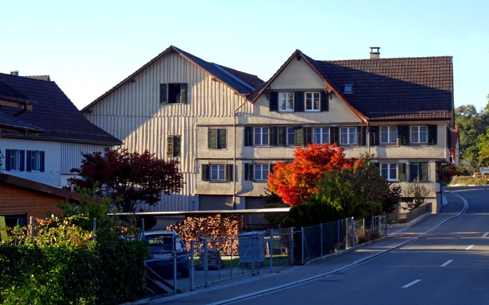 Buchackern1373