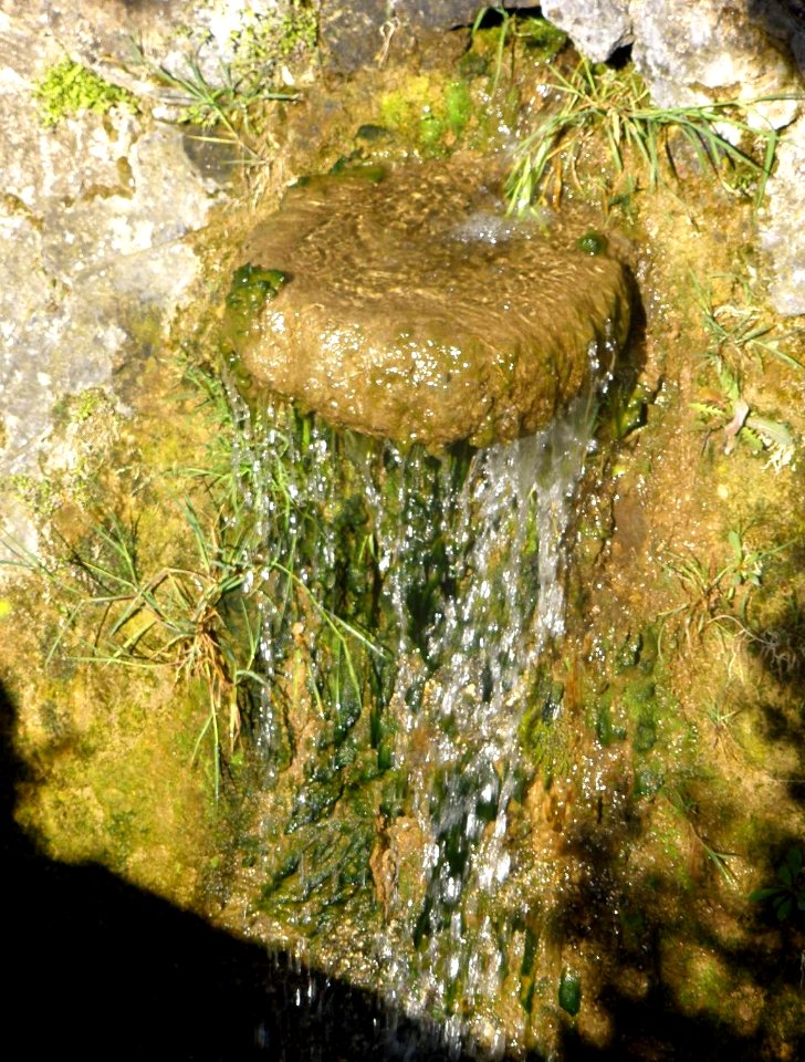Bugedo - Monasterio de Santa María de Bujedo de Candepajares, entorno natural 08