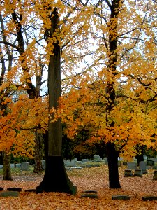 Bubb obelisk, Highwood Cemetery, 2020-10-24, 02