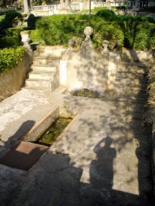 Bugedo - Monasterio de Santa María de Bujedo de Candepajares, entorno natural 10
