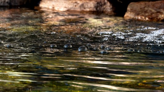Bubbles in a garden pond