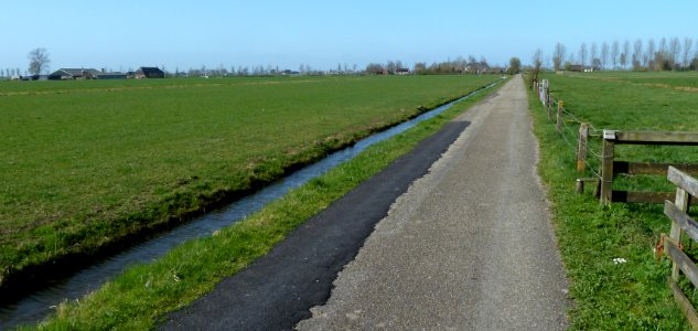 Buikstede - laan naar kanaal