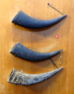 Buffalo horns for drinking alcohol, La Chi - Vietnam Museum of Ethnology - Hanoi, Vietnam - DSC02948