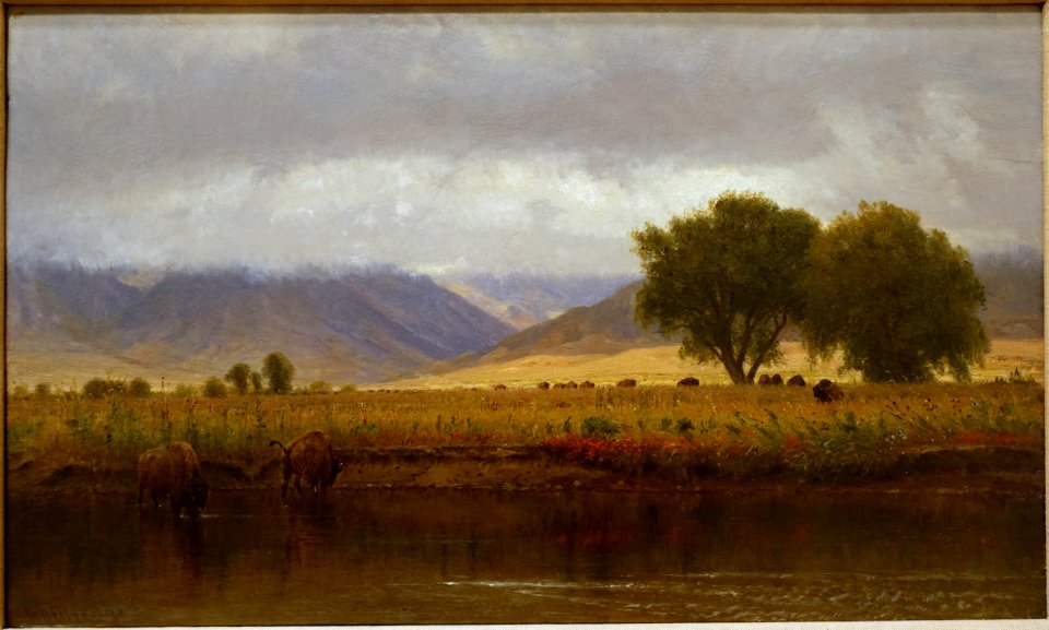 Buffalo on the Platte River, by Worthington Whittredge, 1866, oil on board - Blanton Museum of Art - Austin, Texas - DSC08188