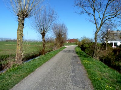 Buikstede - hoek weg Buikstede