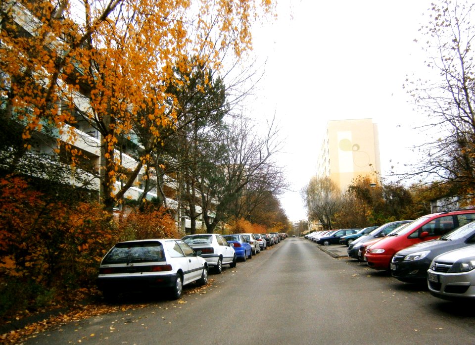 Buch WalterFriedrichStraße ostw