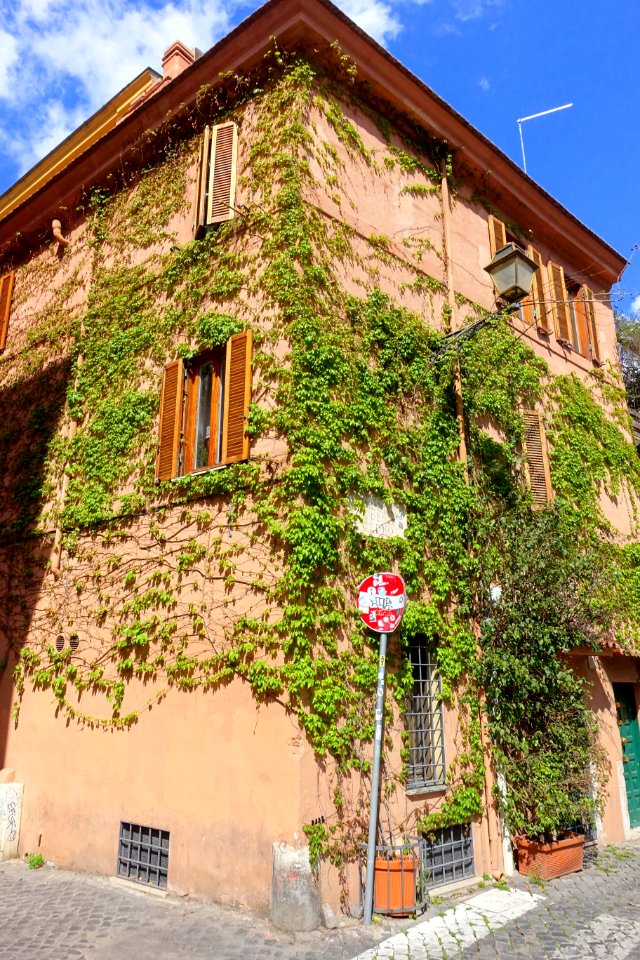 Building in Trastevere - Rome, Italy - DSC00348