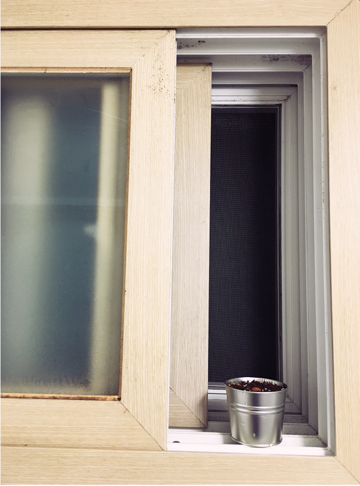 Window window pane pot