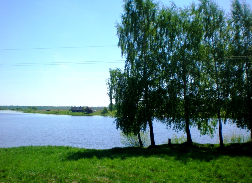 Bublių tvenkinys už Aristavos