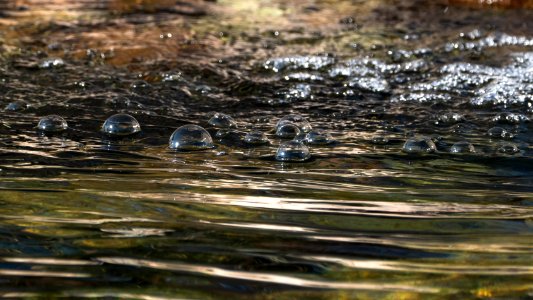 Bubbles in a garden pond - cropped