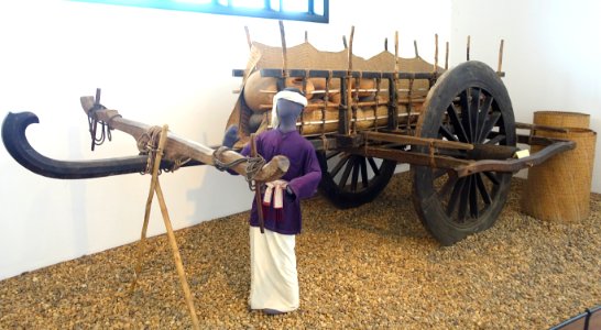 Buffalo cart, Cham, made in 1956 - Vietnam Museum of Ethnology - Hanoi, Vietnam - DSC03354