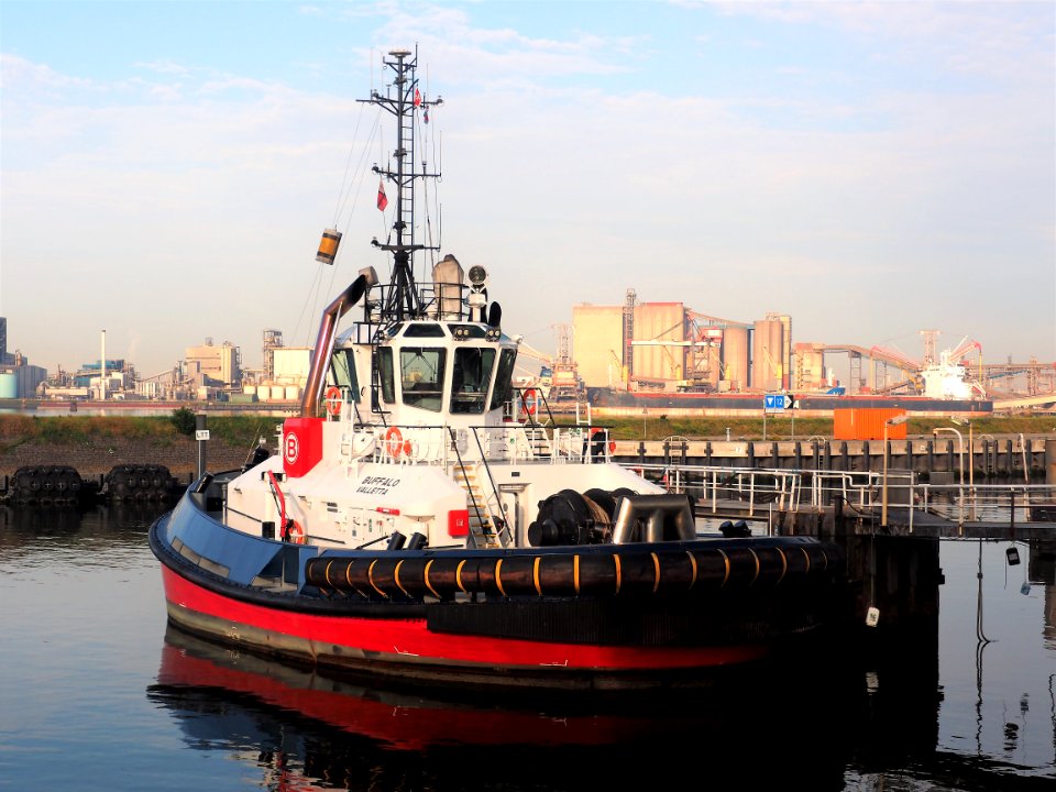 Buffalo (tugboat, 2017) IMO 9816347, Port of Rotterdam pic1
