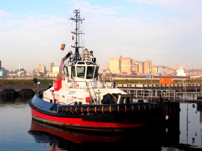 Buffalo (tugboat, 2017) IMO 9816347, Port of Rotterdam pic1