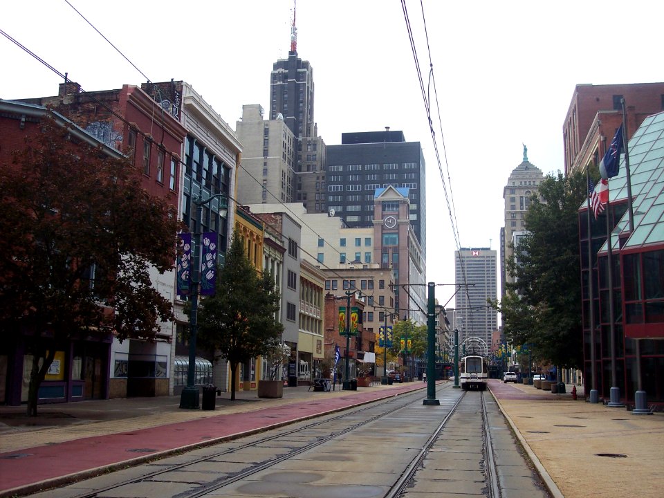 Buffalo down main street