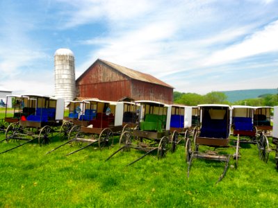 Buggies on a hill Snyder Co PA photo