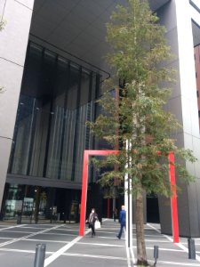 Building in Otemachi 3