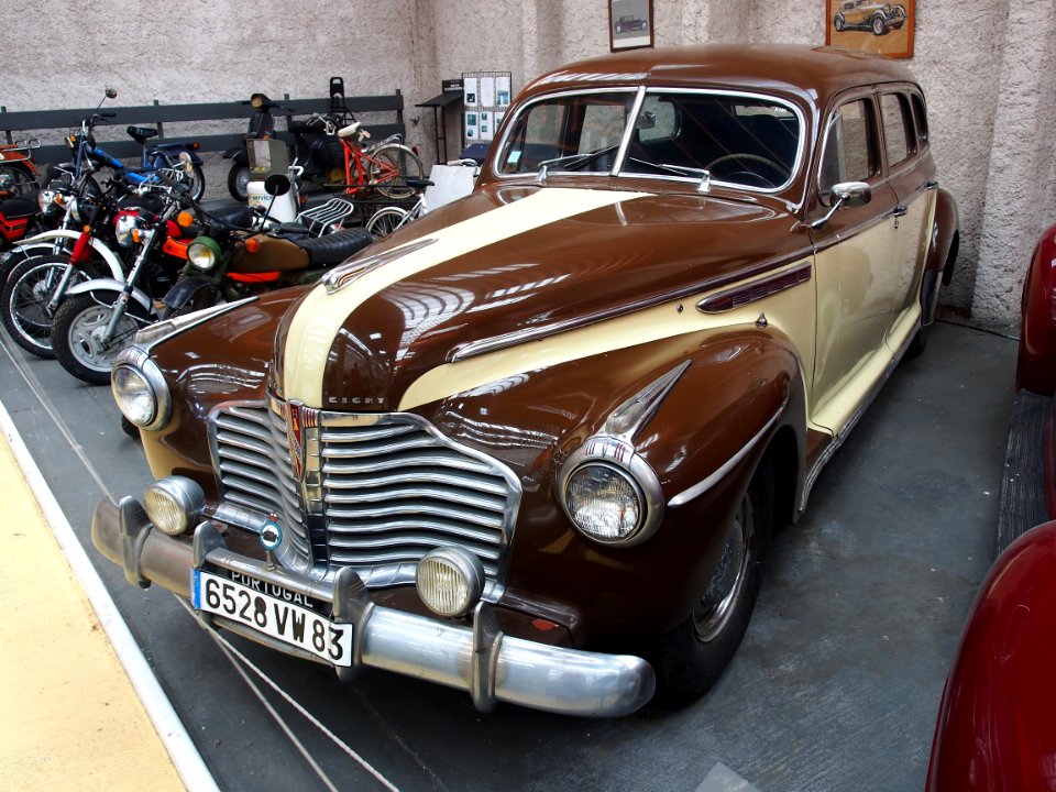 Buick Eight (brown white) pic2