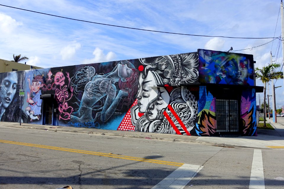 Building - Wynwood Art District - Miami, Florida - DSC08769