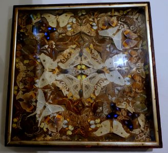 Bug art - Snowshill Manor - Gloucestershire, England - DSC09576