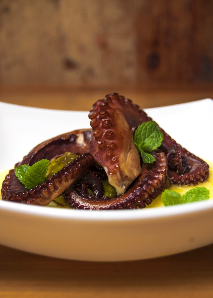 Tentacles dish chef