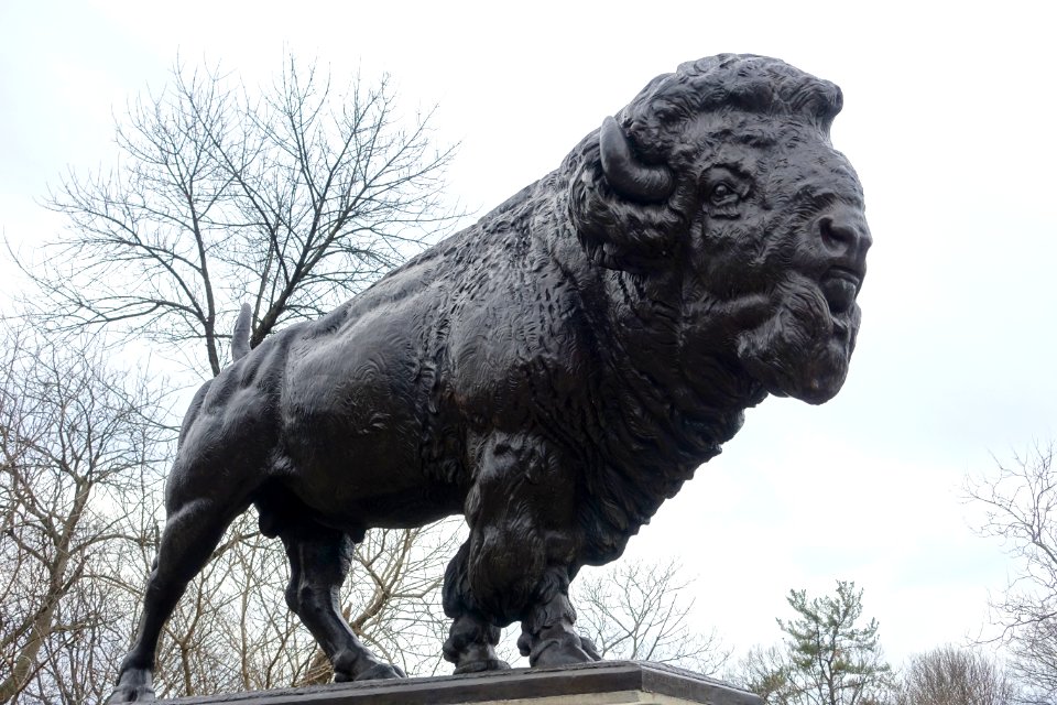 Buffalo of Dumbarton Bridge, by Alexander Phimister Proctor, 1914 - Washington, DC - DSC07792