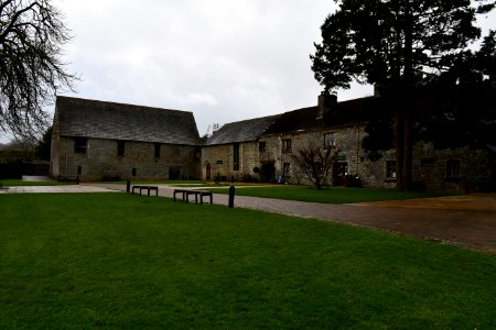 Buckfast Abbey 2020-03-01 (8)