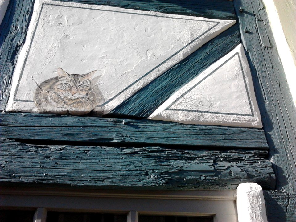 Buchtal 25 Eichstätt -Fassadendetail