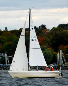 Buccaneer 200 sailboat Pique 3491