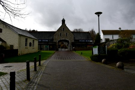 Buckfast Abbey 2020-03-01 (7)