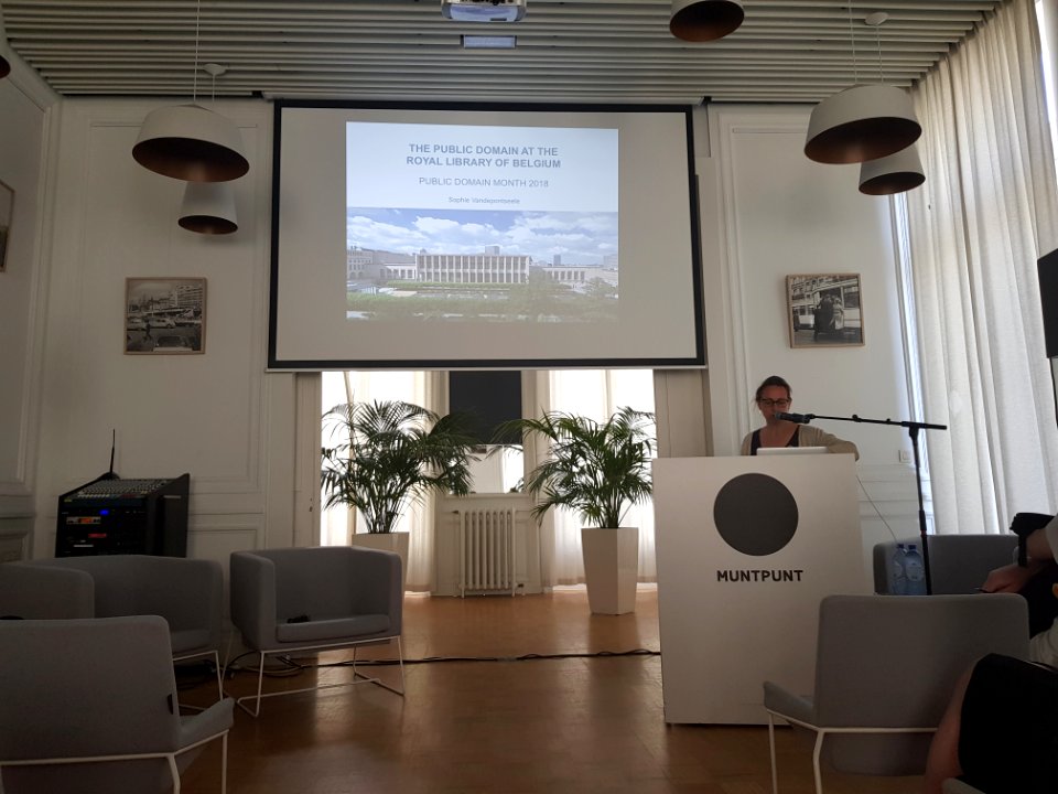 Brussels-Public domain event, 26 May 2018 (56)
