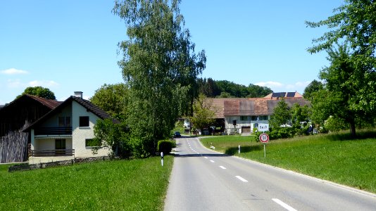 Buch bei Kümmertshausen (TG)