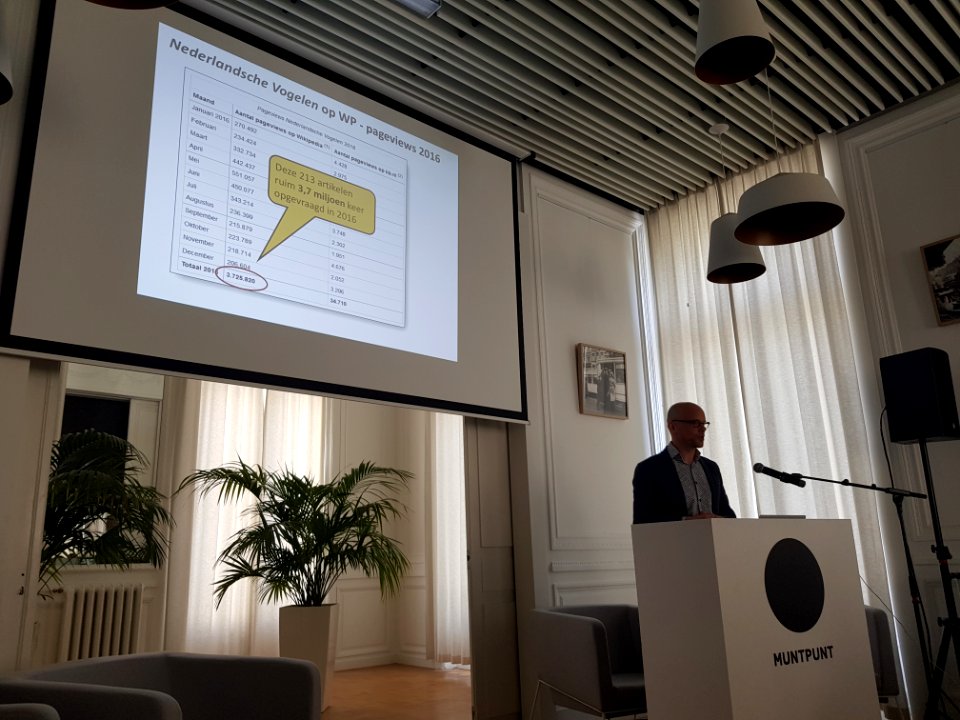 Brussels-Public domain event, 26 May 2018 (54)