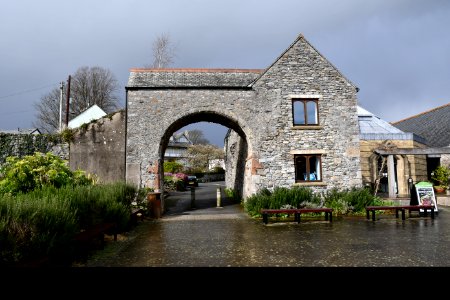 Buckfast Abbey 2020-03-01 (4)