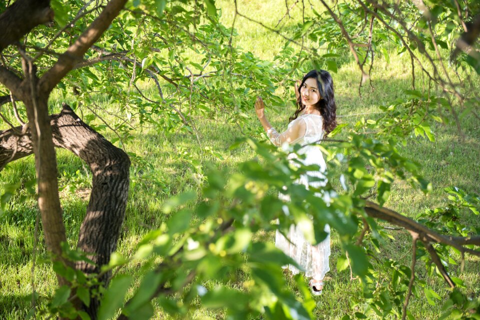 Jungle green space beauty
