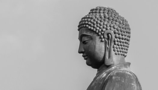 Buda Tian Tian in Hong Kong