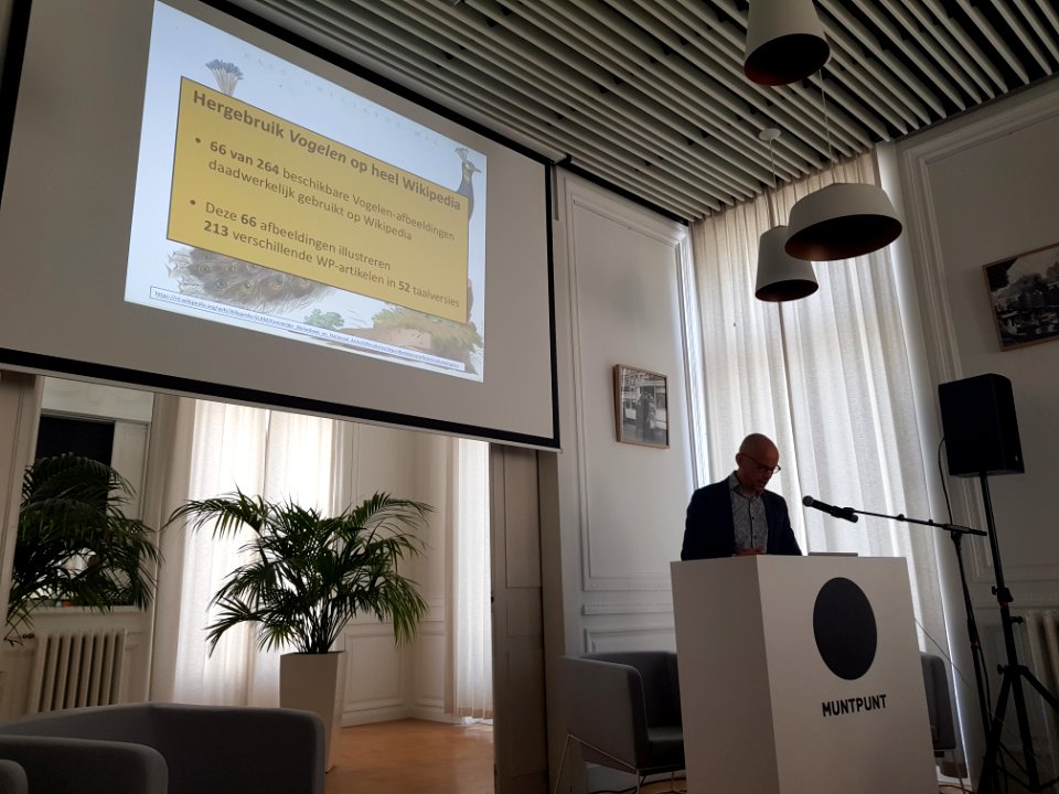 Brussels-Public domain event, 26 May 2018 (53)
