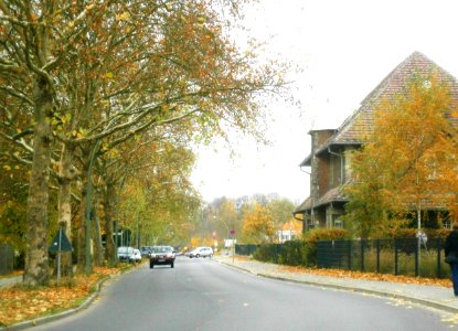 Buch Lindenberger Weg 2